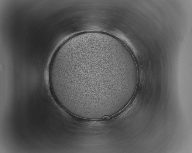 X0000101991424200808011052