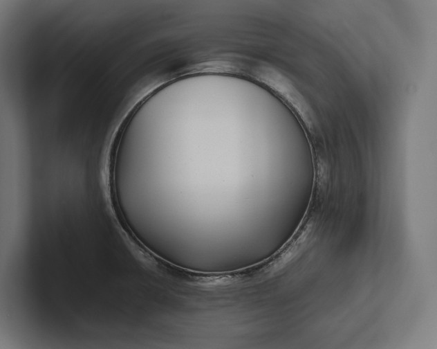 X0000101991426200808011052