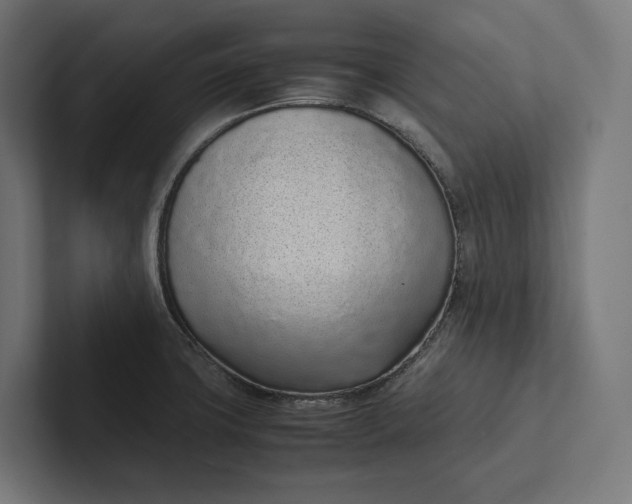 X0000101991427200808011052