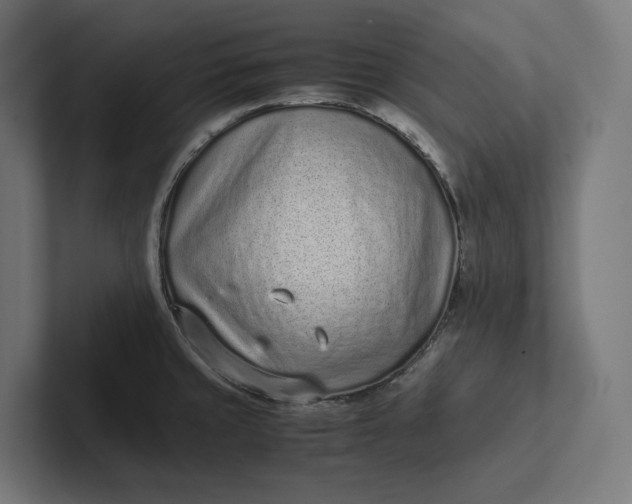 X0000101991429200808011052