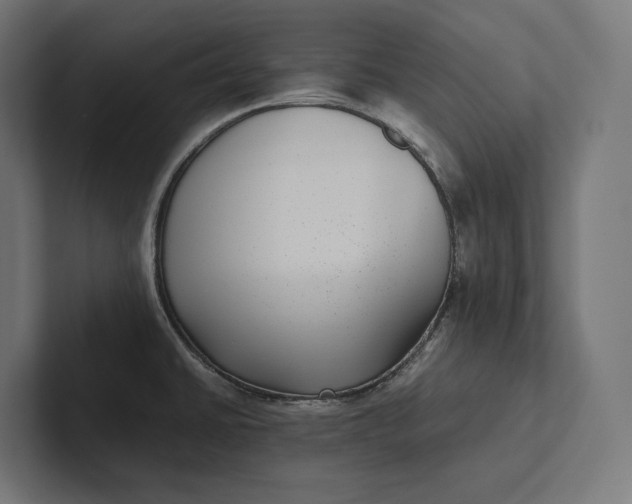 X0000101991430200808011052