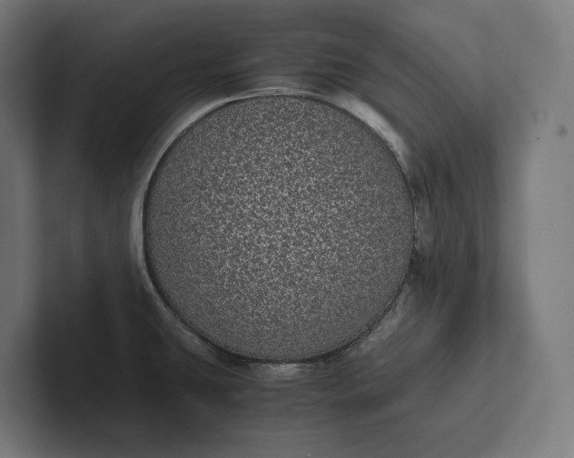 X0000101991431200808011052