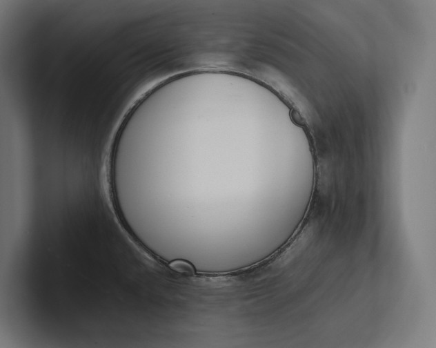 X0000101991432200808011052