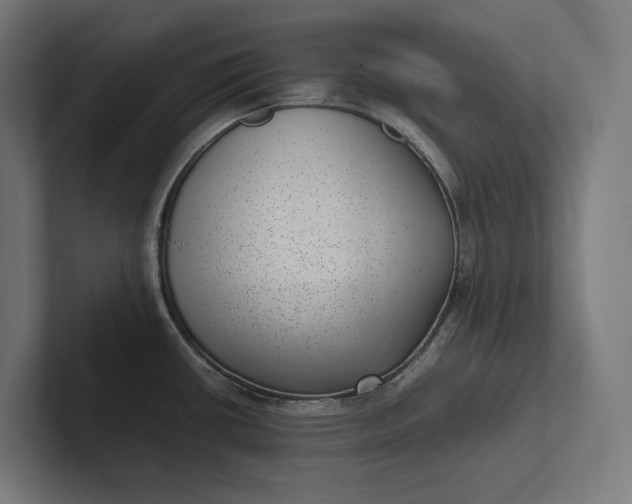 X0000101991434200808011052