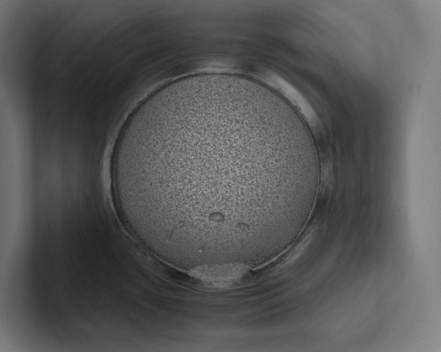 X0000101991435200808011052