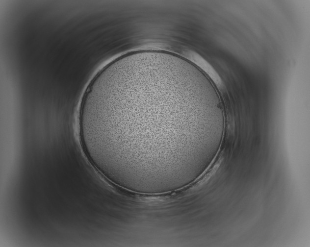 X0000101991436200808011052