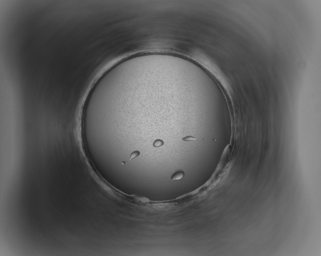 X0000101991437200808011052