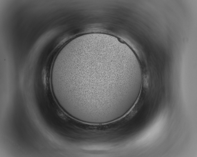 X0000101991438200808011052