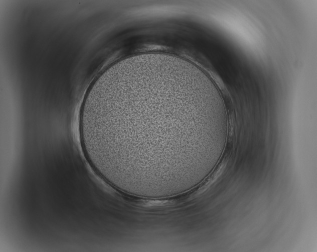 X0000101991439200808011052