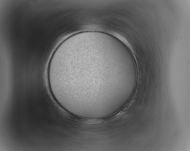 X0000101991440200808011052