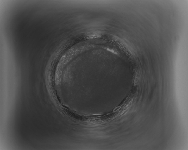 X0000101991441200808011051