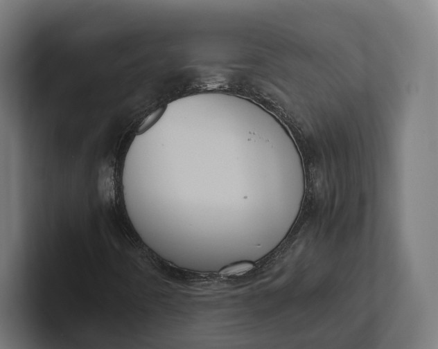 X0000101991442200808011051