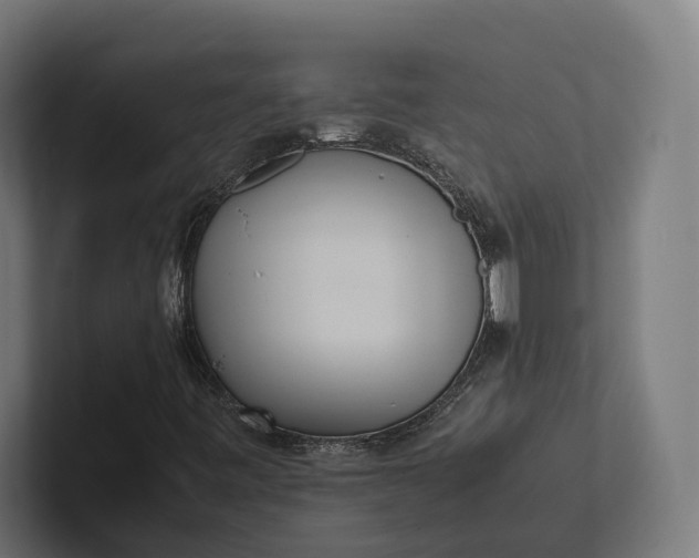 X0000101991443200808011051