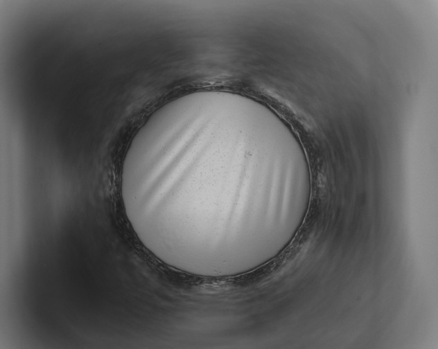 X0000101991447200808011051