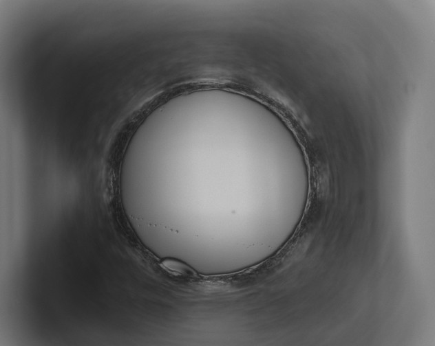 X0000101991448200808011051