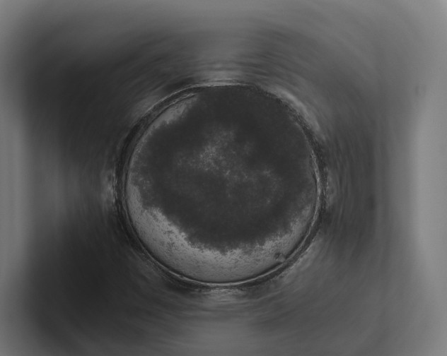 X0000101991449200808011051