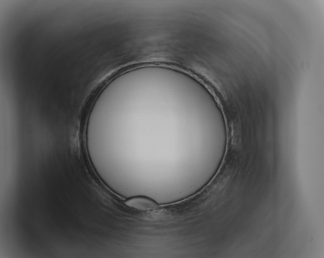 X0000101991452200808011051