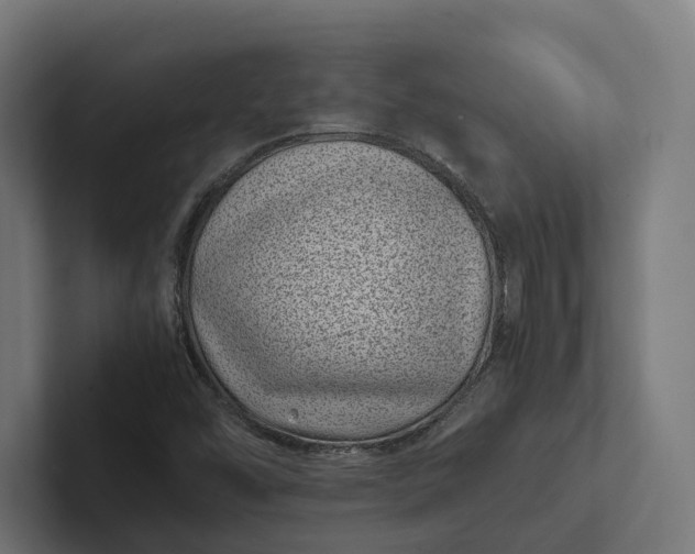 X0000101991454200808011051