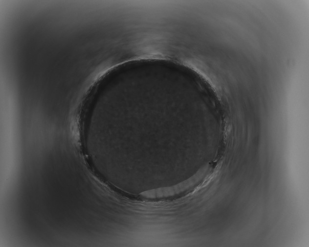 X0000101991455200808011051