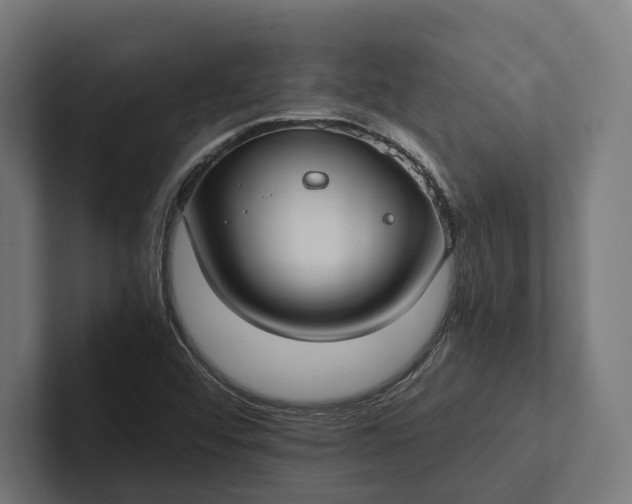 X0000101991456200808011051