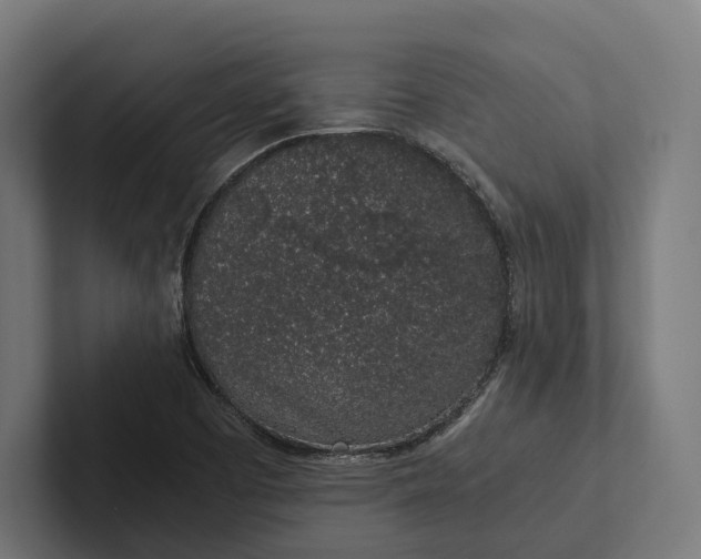 X0000101991457200808011051