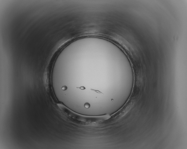 X0000101991458200808011051