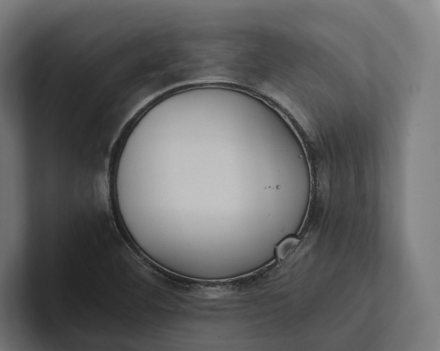 X0000101991460200808011051