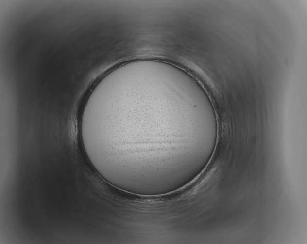 X0000101991461200808011051