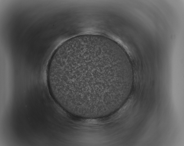 X0000101991463200808011051