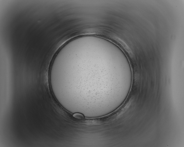 X0000101991465200808011051