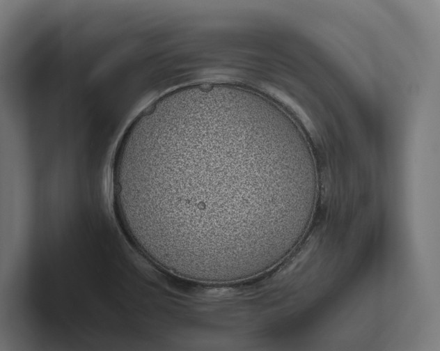 X0000101991467200808011051