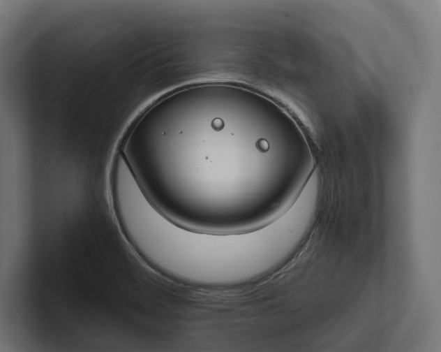 X0000101991468200808011051