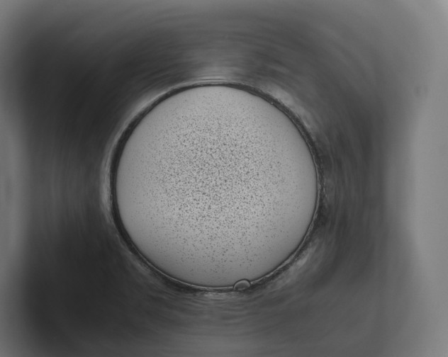 X0000101991469200808011051