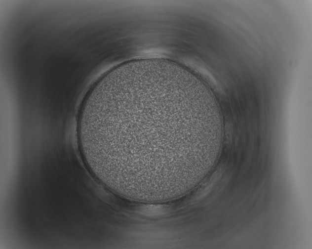 X0000101991470200808011051