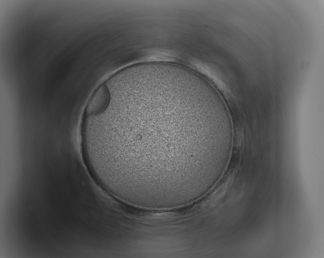 X0000101991471200808011051