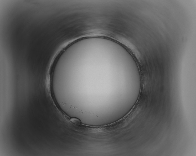 X0000101991472200808011051