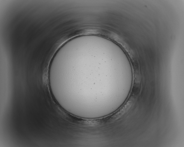 X0000101991473200808011051