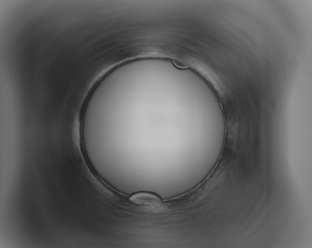 X0000101991476200808011051