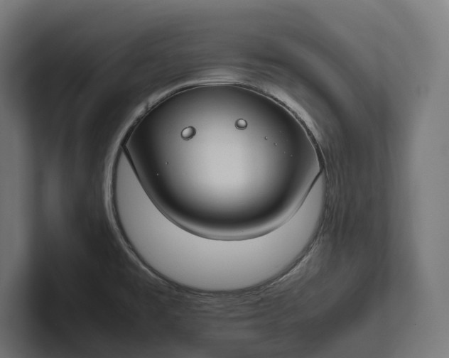 X0000101991477200808011051