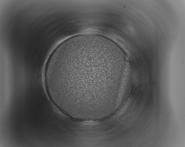 X0000101991478200808011051