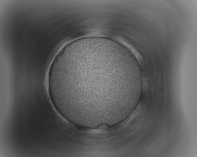 X0000101991479200808011051