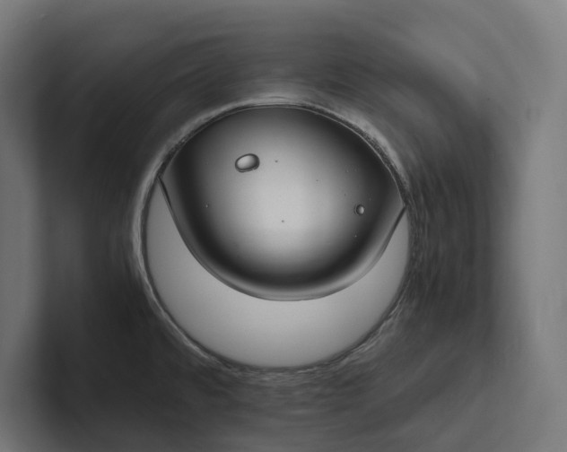 X0000101991480200808011051