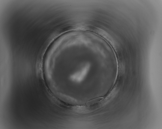 X0000101991481200808011051