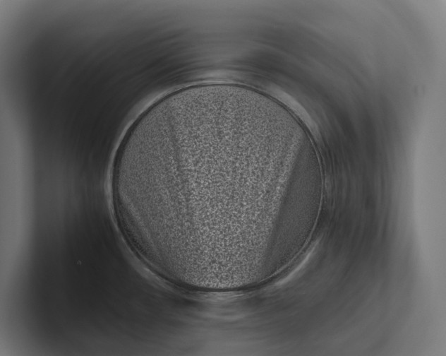 X0000101991482200808011051