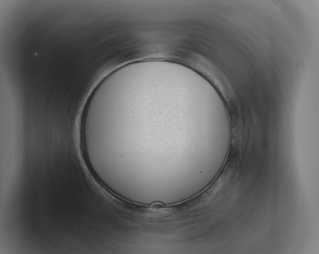 X0000101991483200808011051