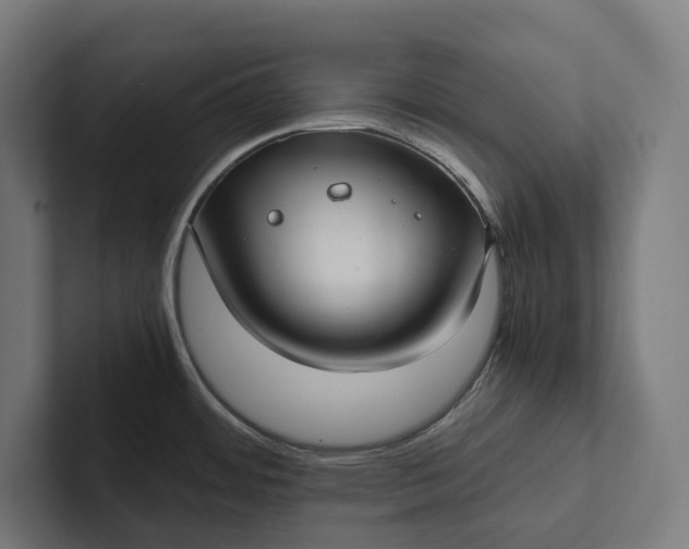 X0000101991484200808011051