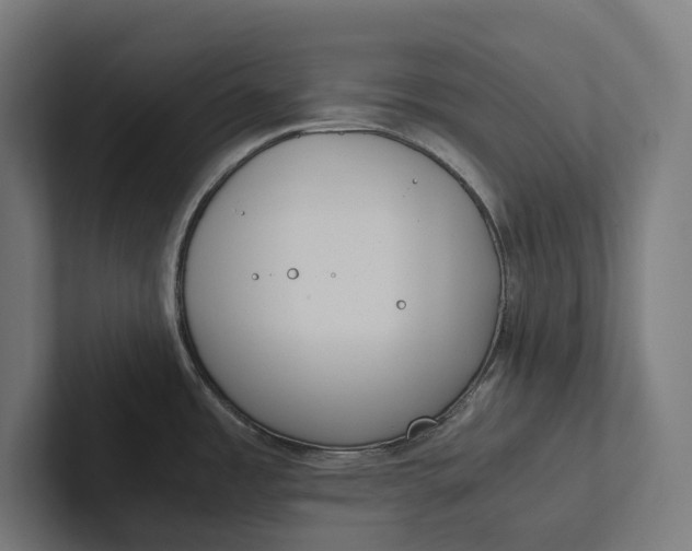 X0000101991485200808011051