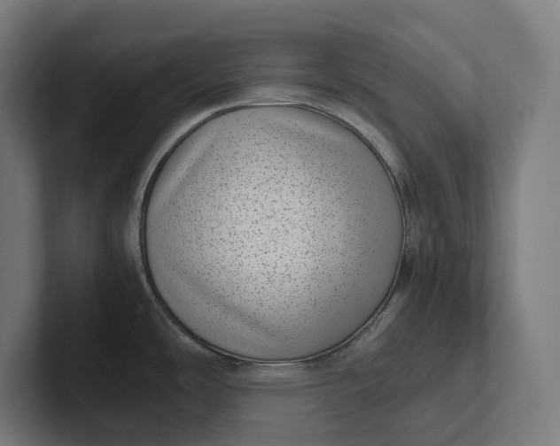 X0000101991486200808011051