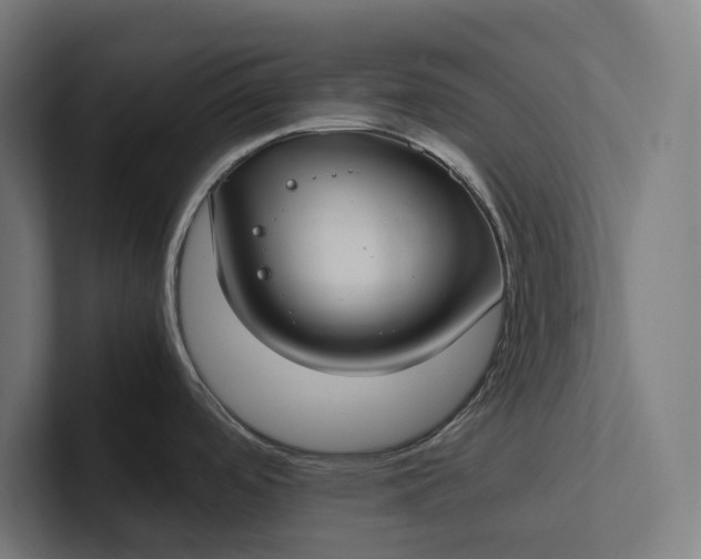 X0000101991488200808011051