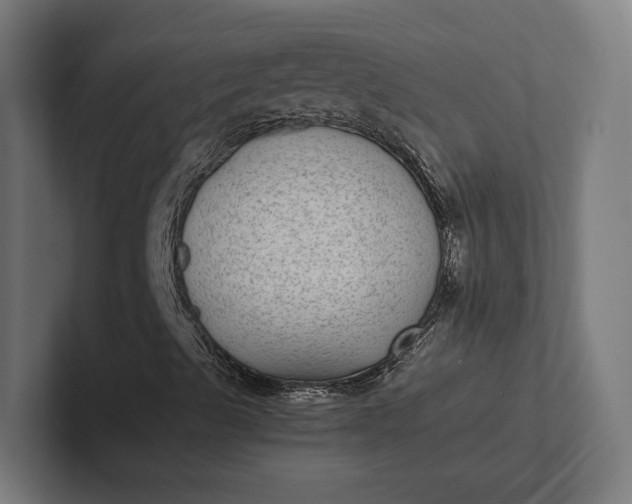 X0000101991489200808011050